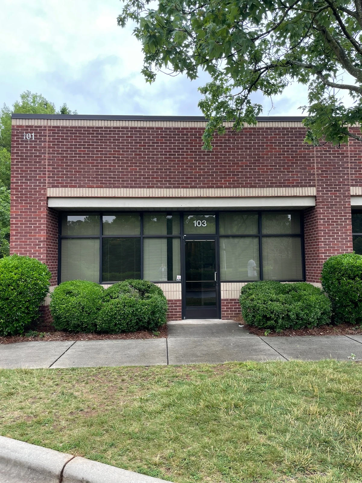 Insight Program - Raleigh